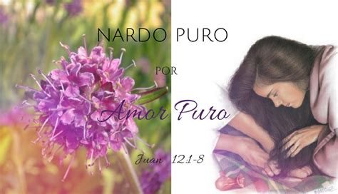 precio del nardo puro